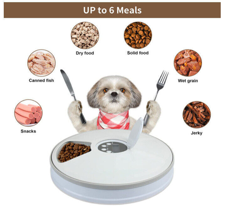 Automatic Pet Feeder 6 Day Meal Automatic Food Dispenser Timed Food Bowl Music