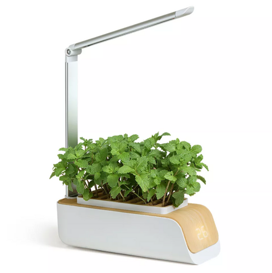 Hydroponic Growing System for Indoor Herb Garden Success