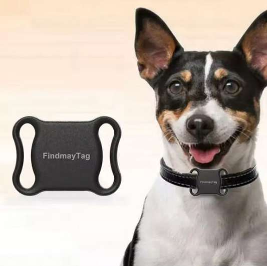 Mini GPS Tracker Dog & Cat Collar | Real-Time Pet Locator for Safety & Security