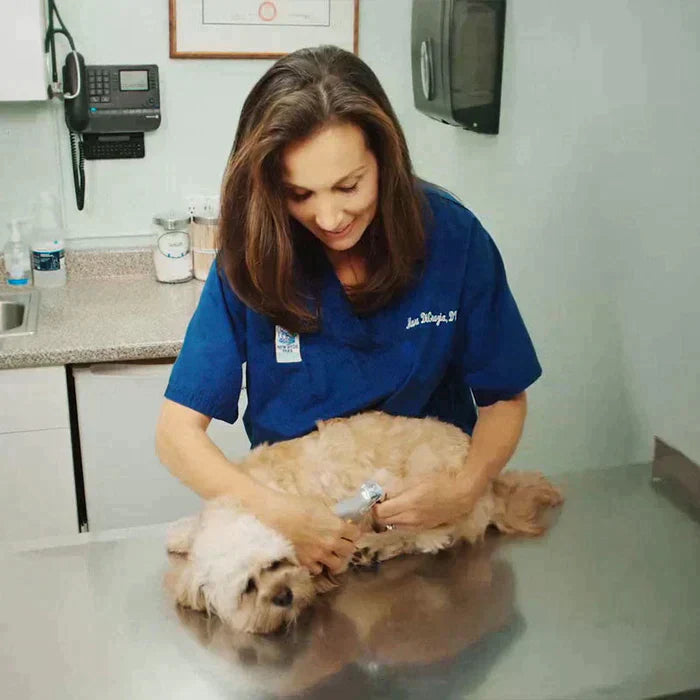 Dog Nail Clipper With Quick Sensors With LED Lights