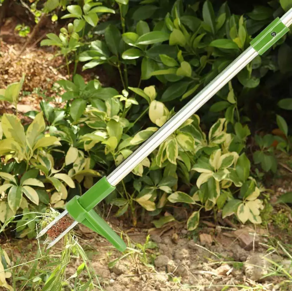 Weed Remover Tool for Uprooting Weeds in Gardens and Lawns