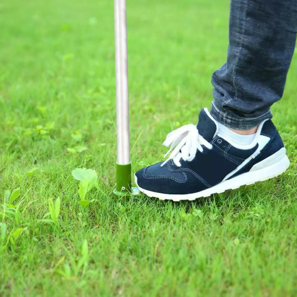 Weed Remover Tool for Uprooting Weeds in Gardens and Lawns