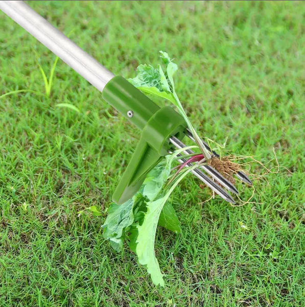 Weed Remover Tool for Uprooting Weeds in Gardens and Lawns